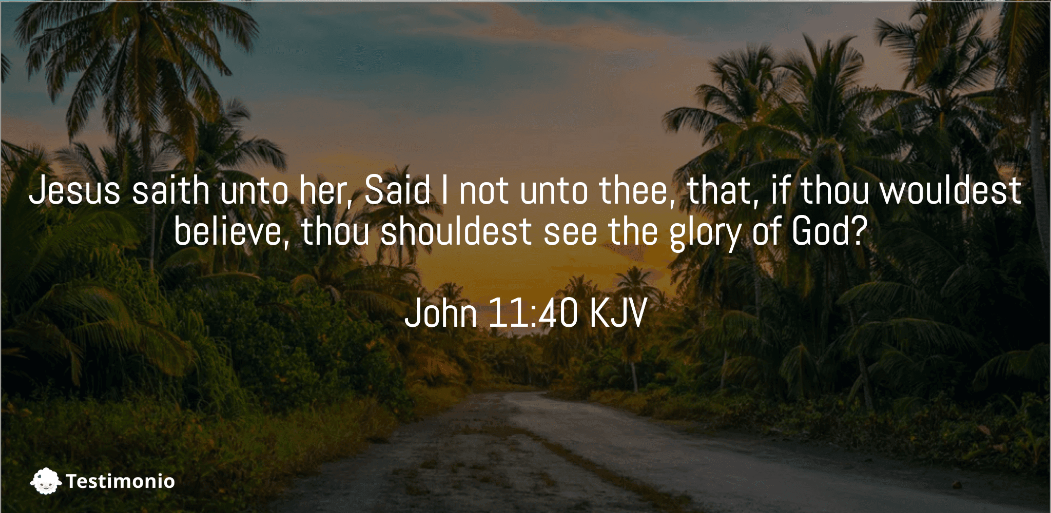 John 11:40