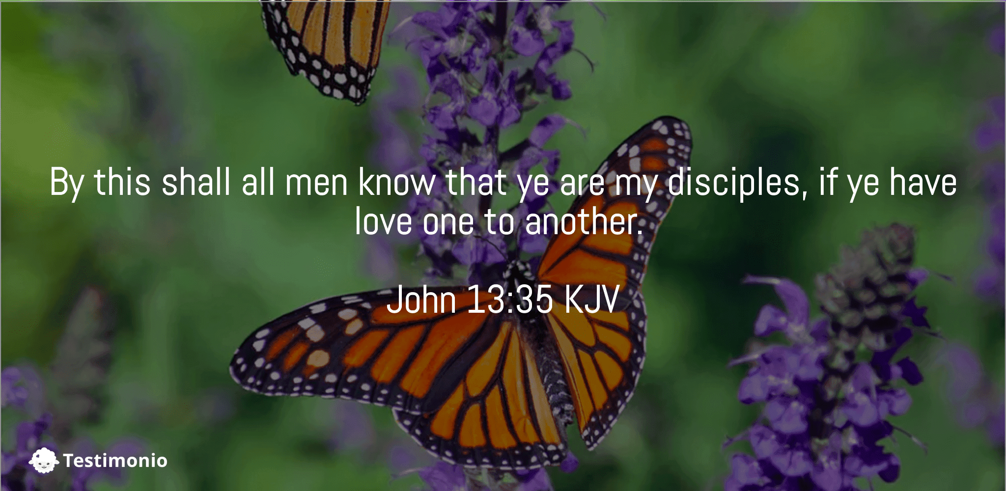 John 13:35