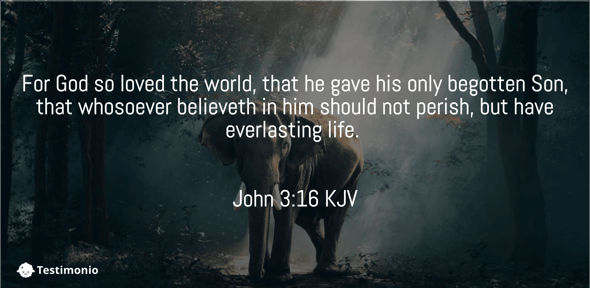 John 3:16