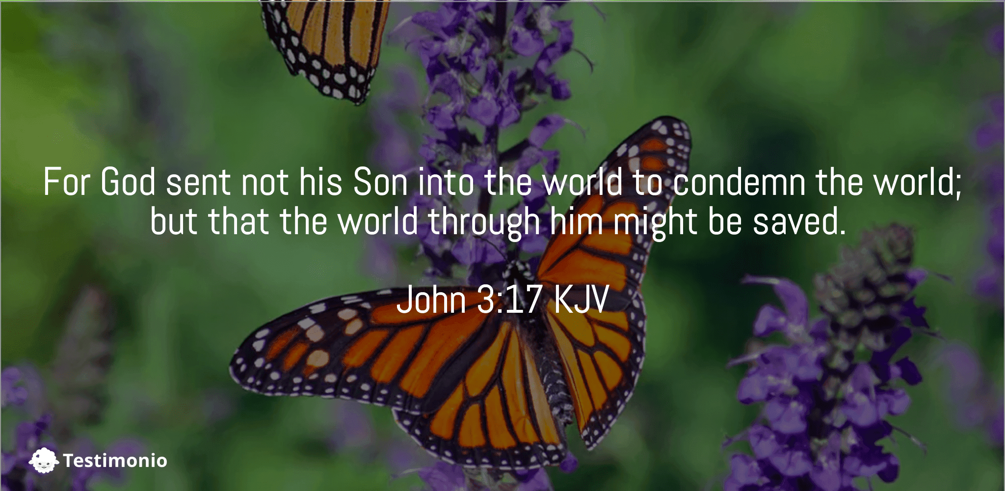 John 3:17