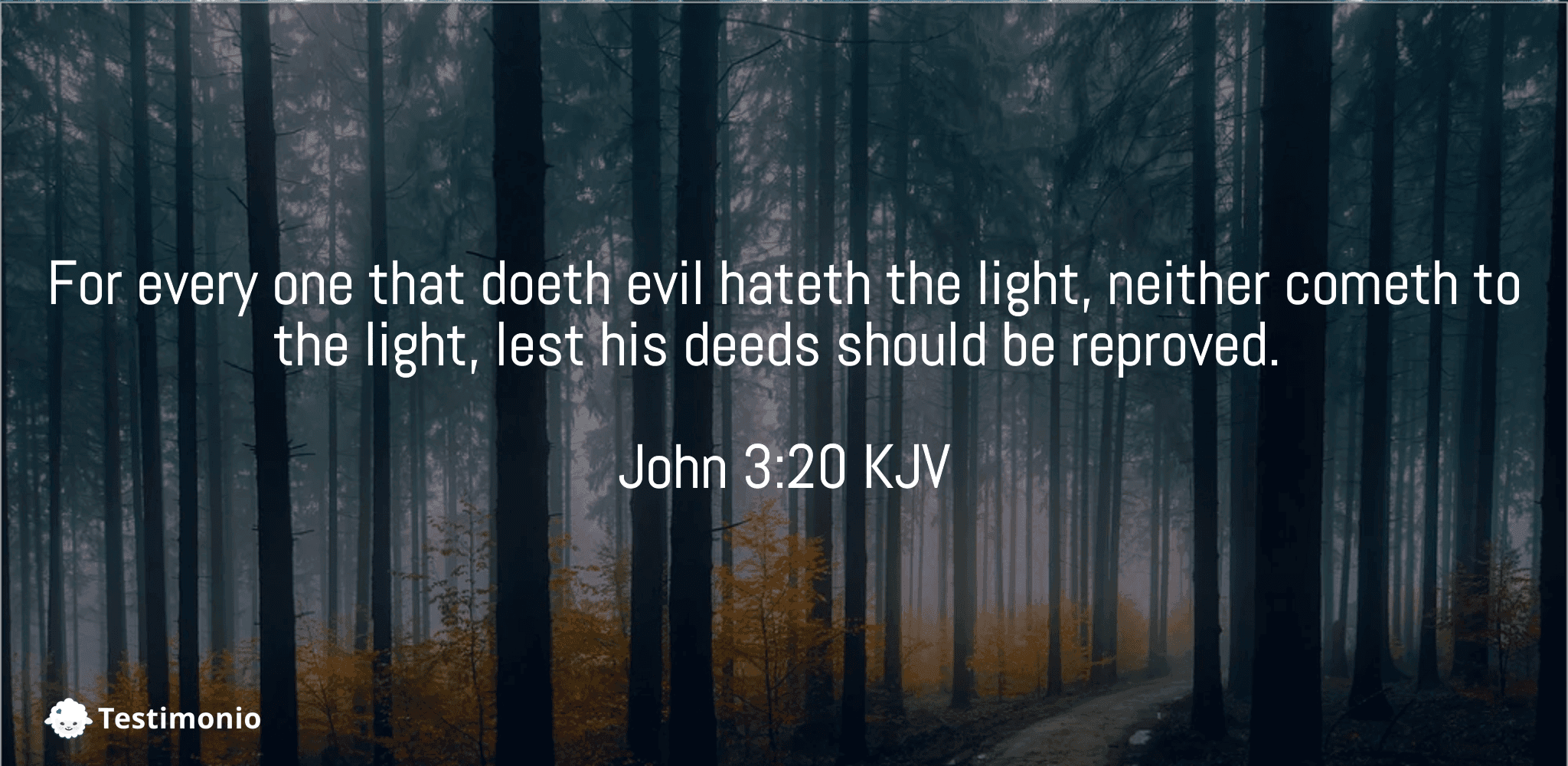 John 3:20