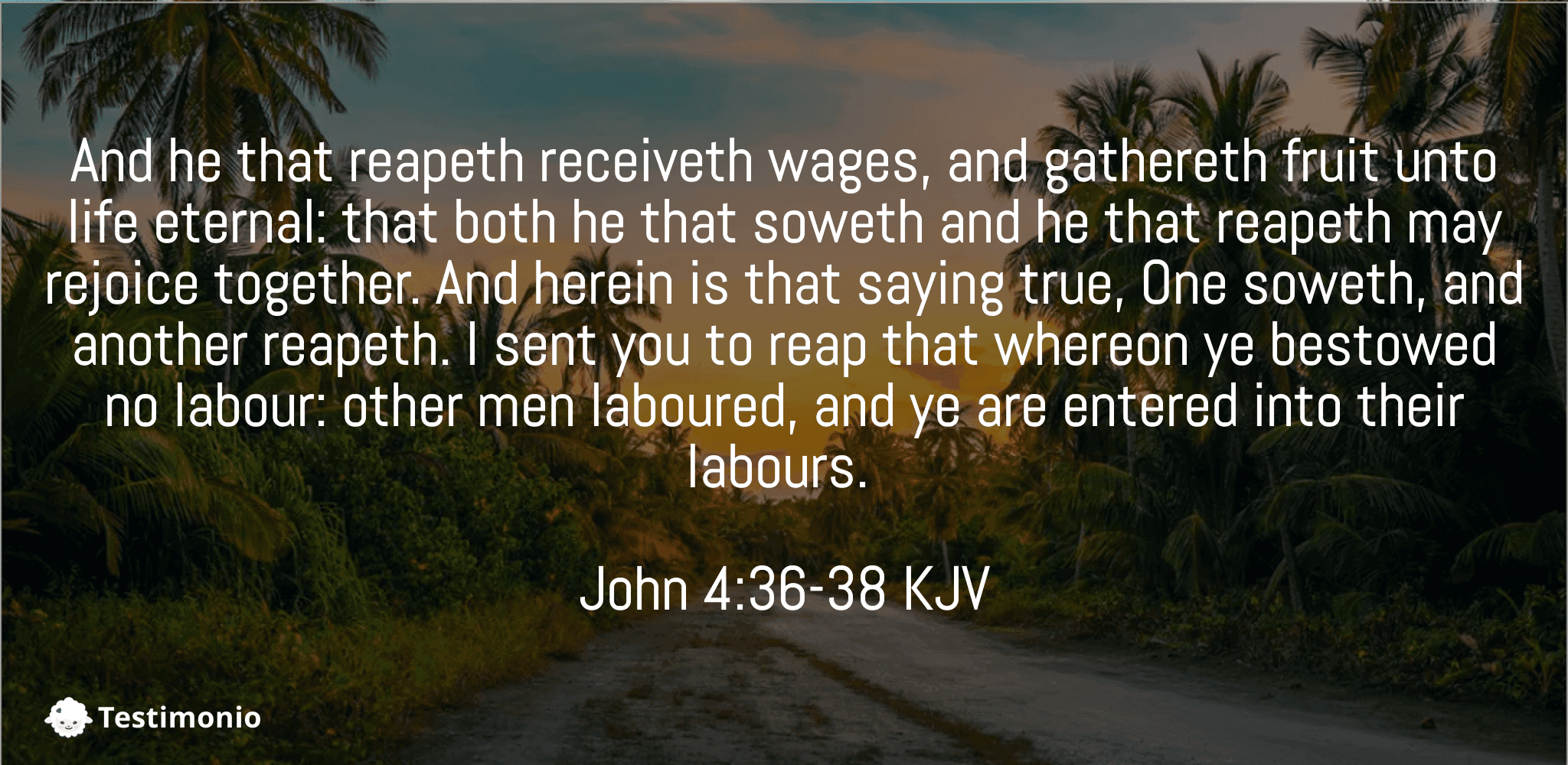 John 4:36-38