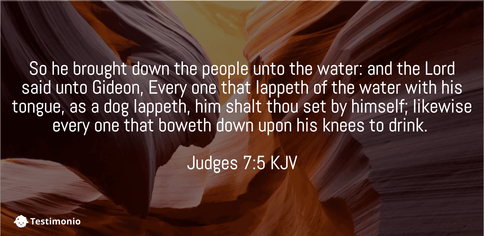 Judges 7:5