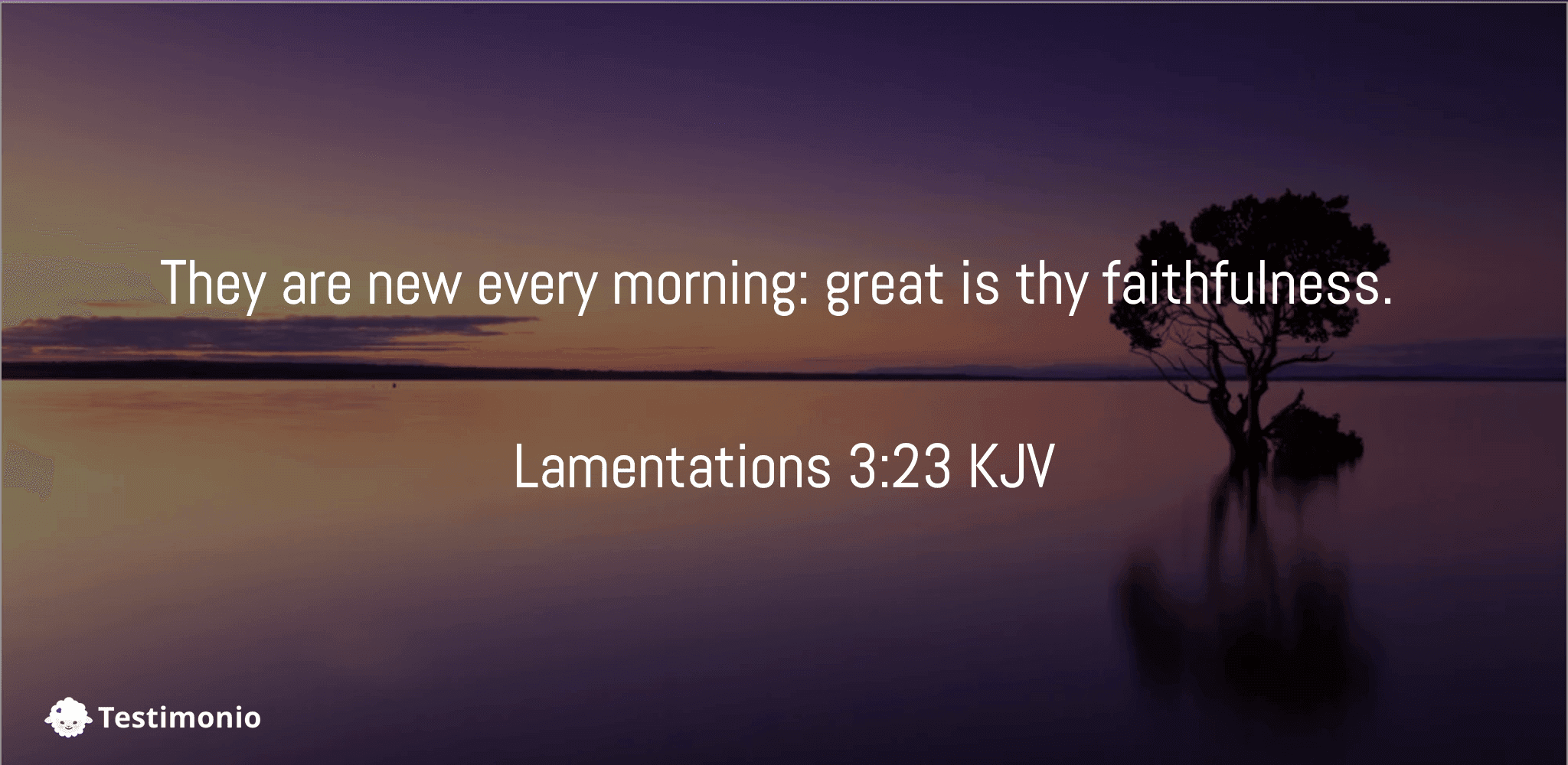 Lamentations 3:23