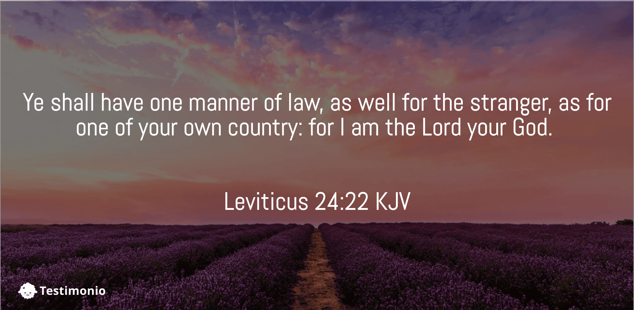 Leviticus 24:22