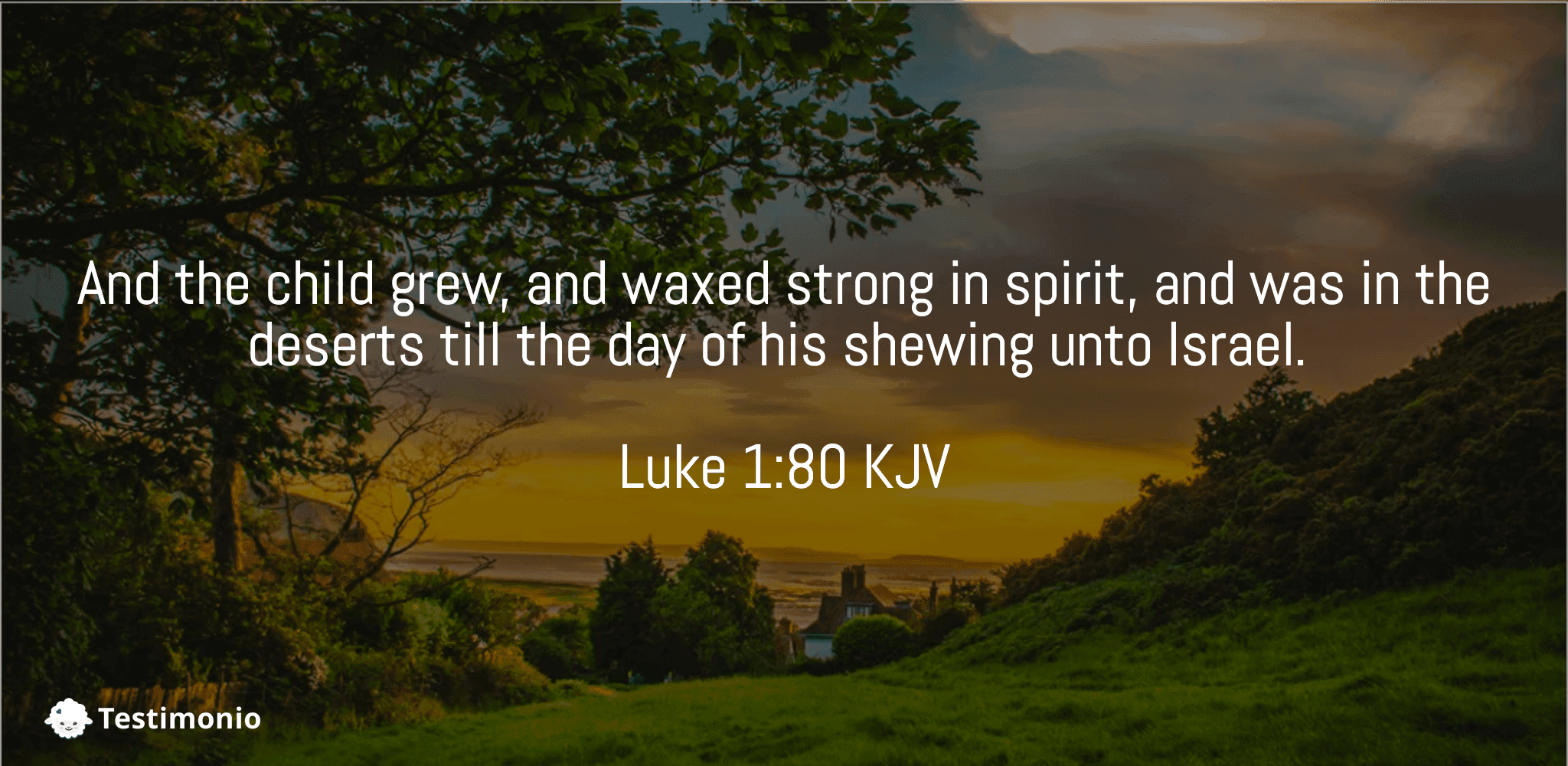 Luke 1:80