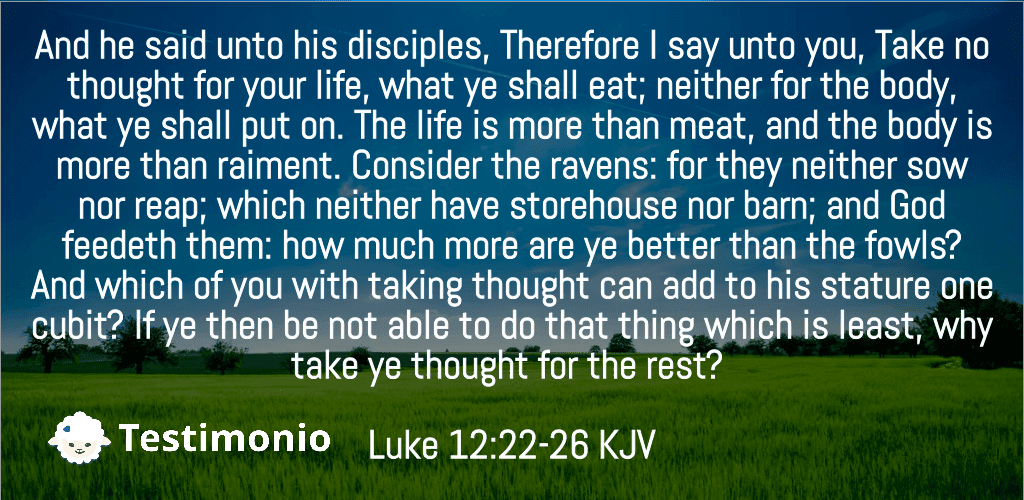 Luke 12:22-26