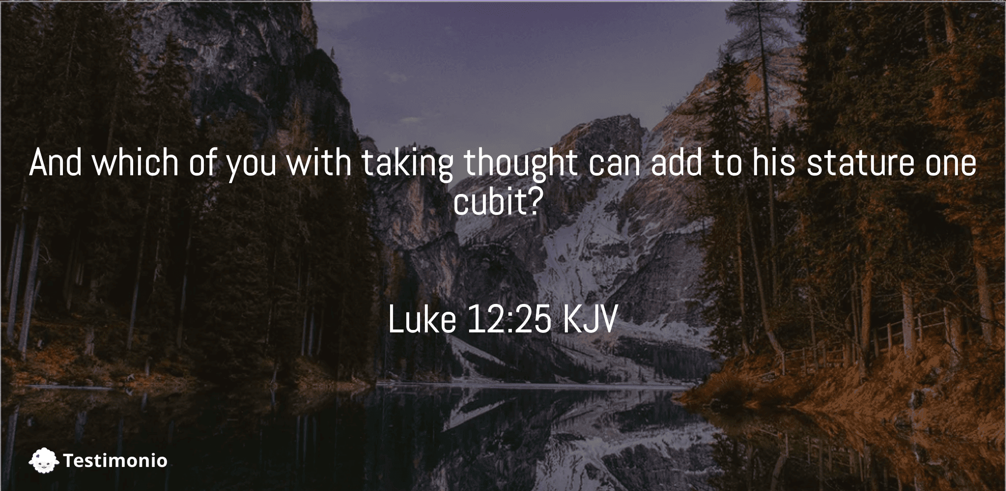 Luke 12:25