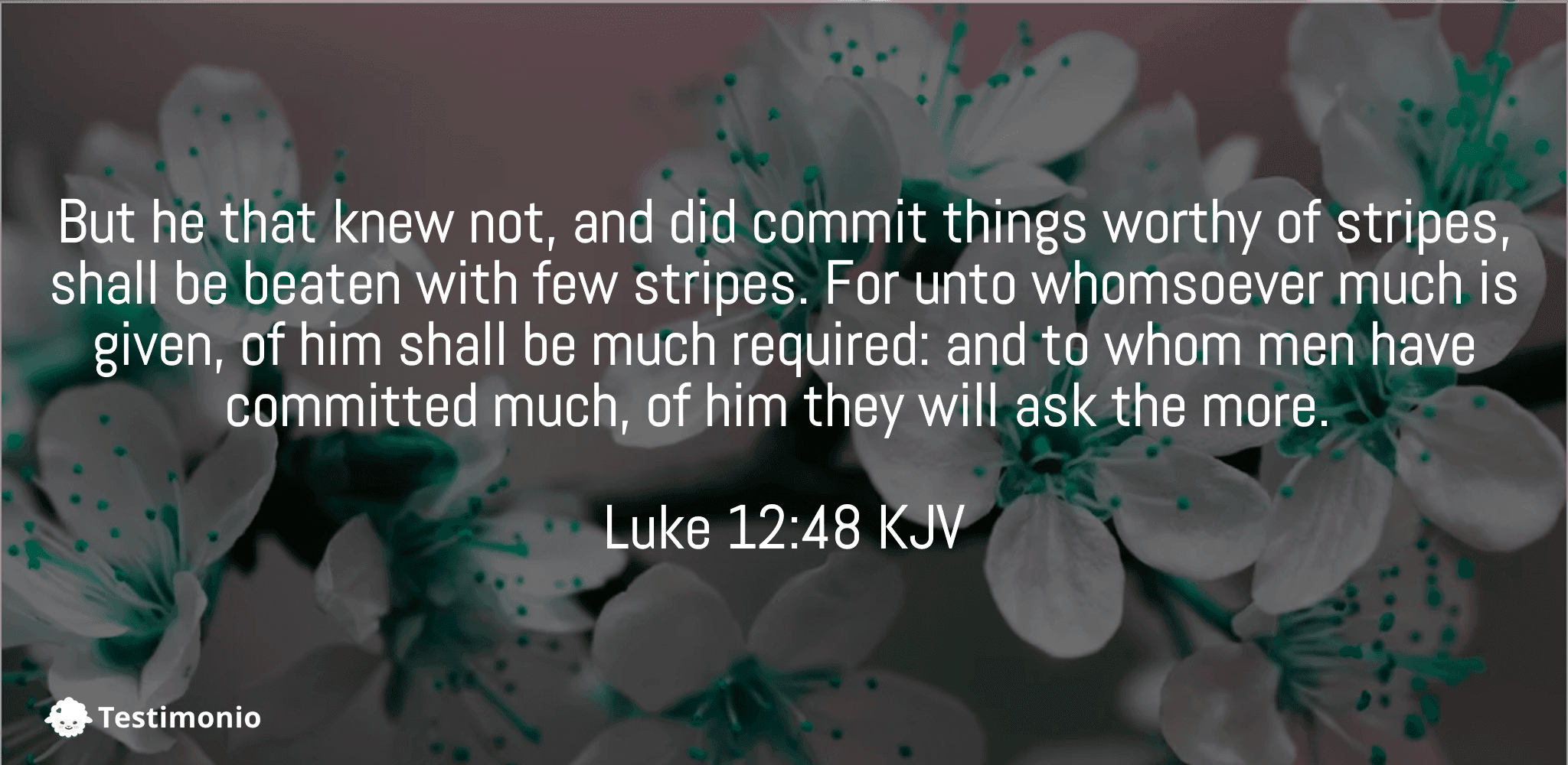 Luke 12:48