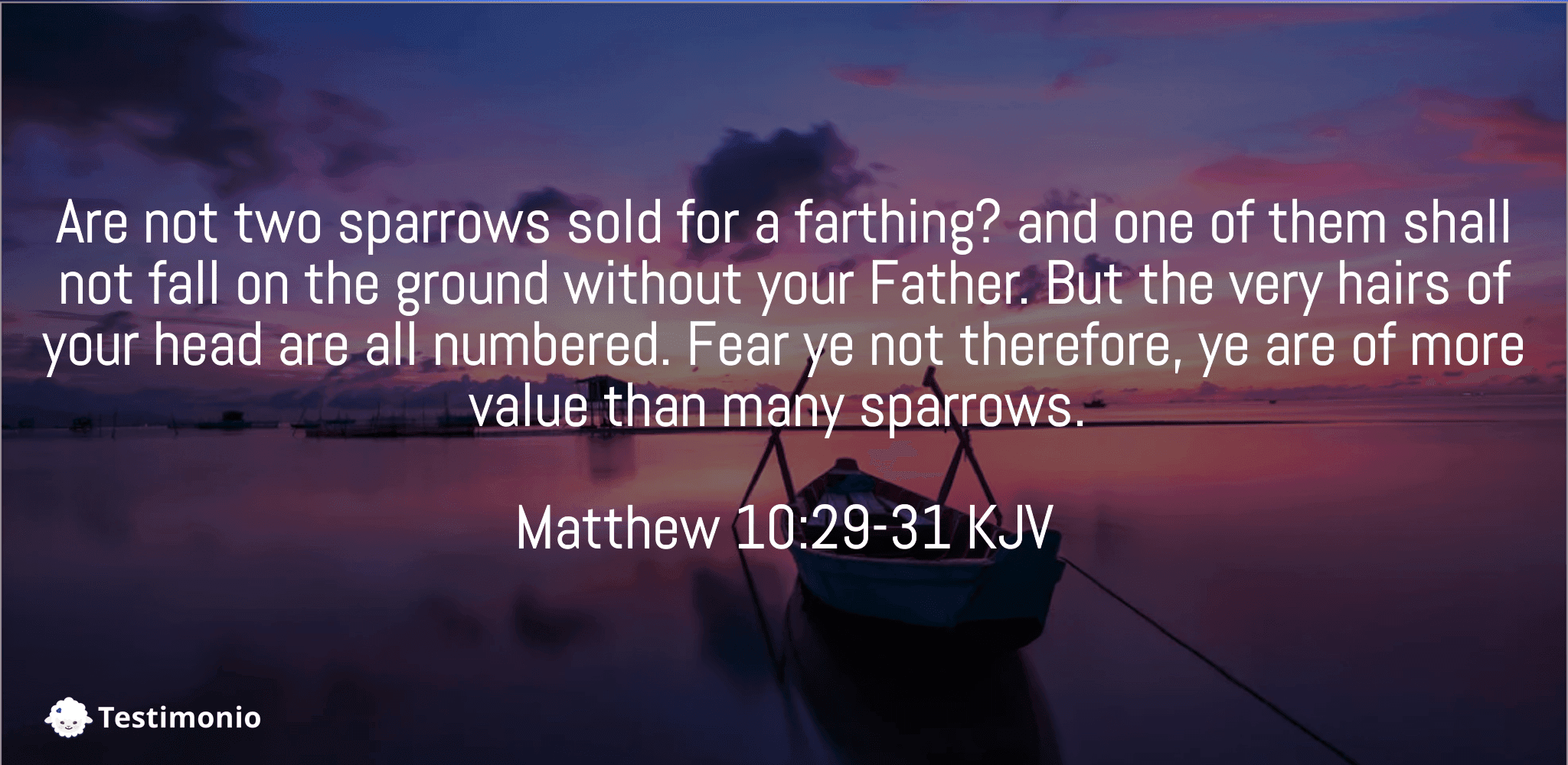 Matthew 10:29-31