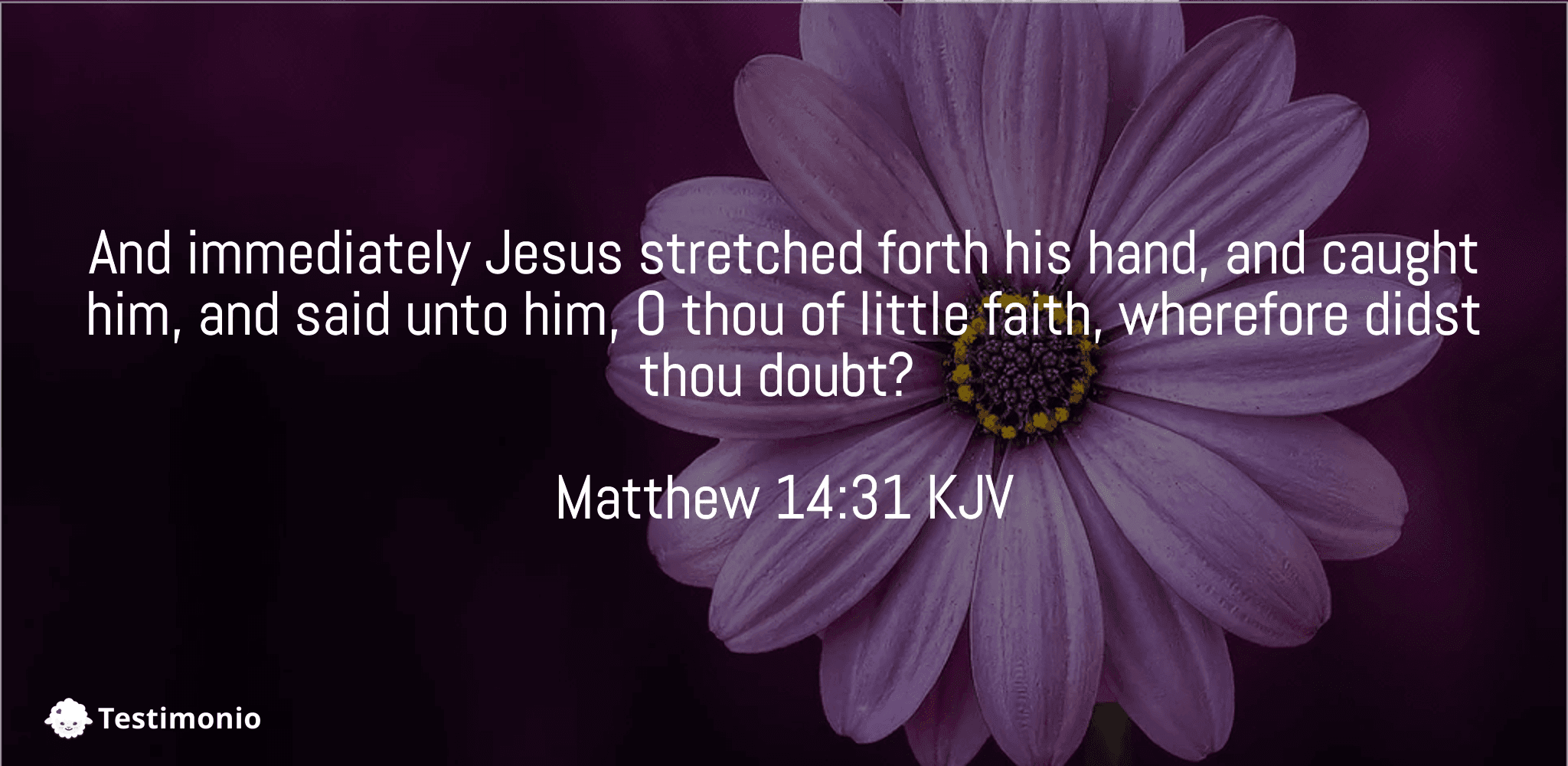 Matthew 14:31