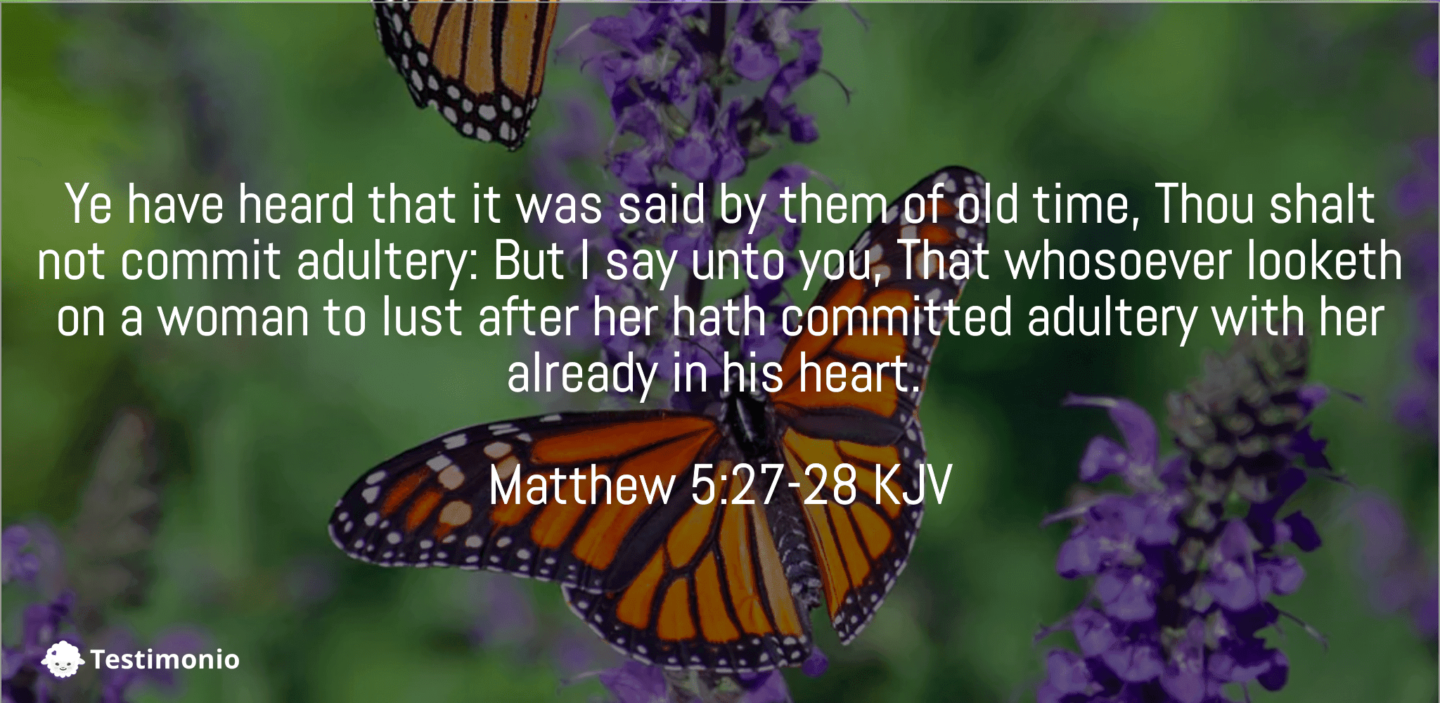 Matthew 5:27-28