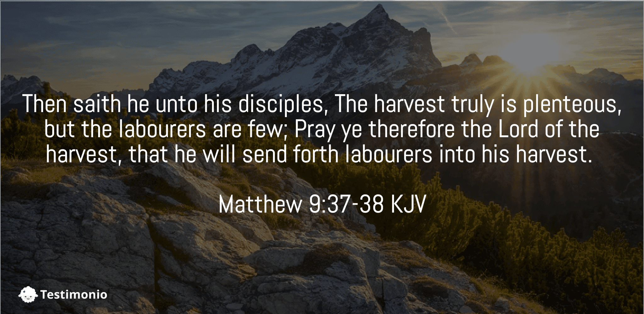 Matthew 9:37-38