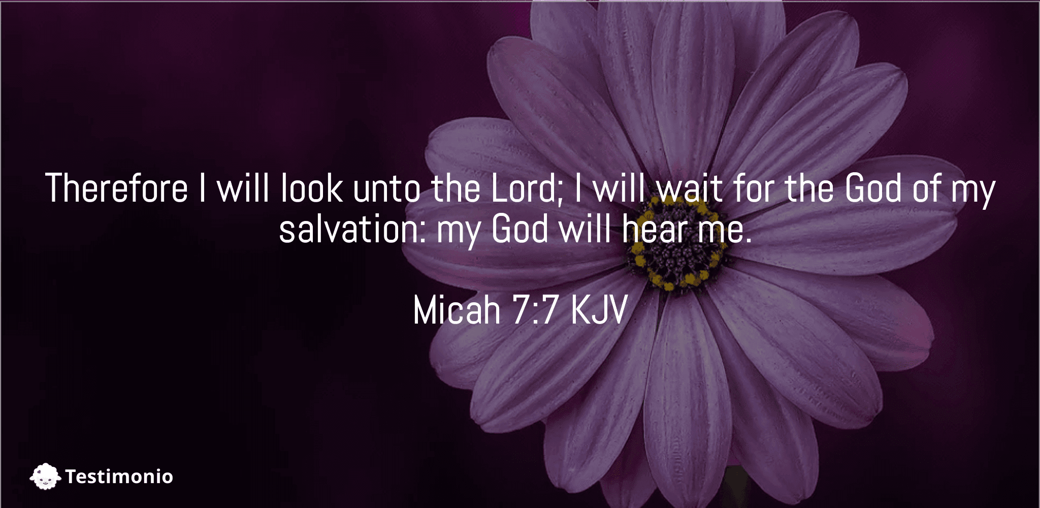 Micah 7:7