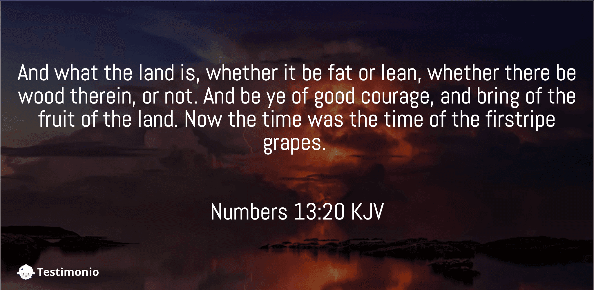 Numbers 13:20