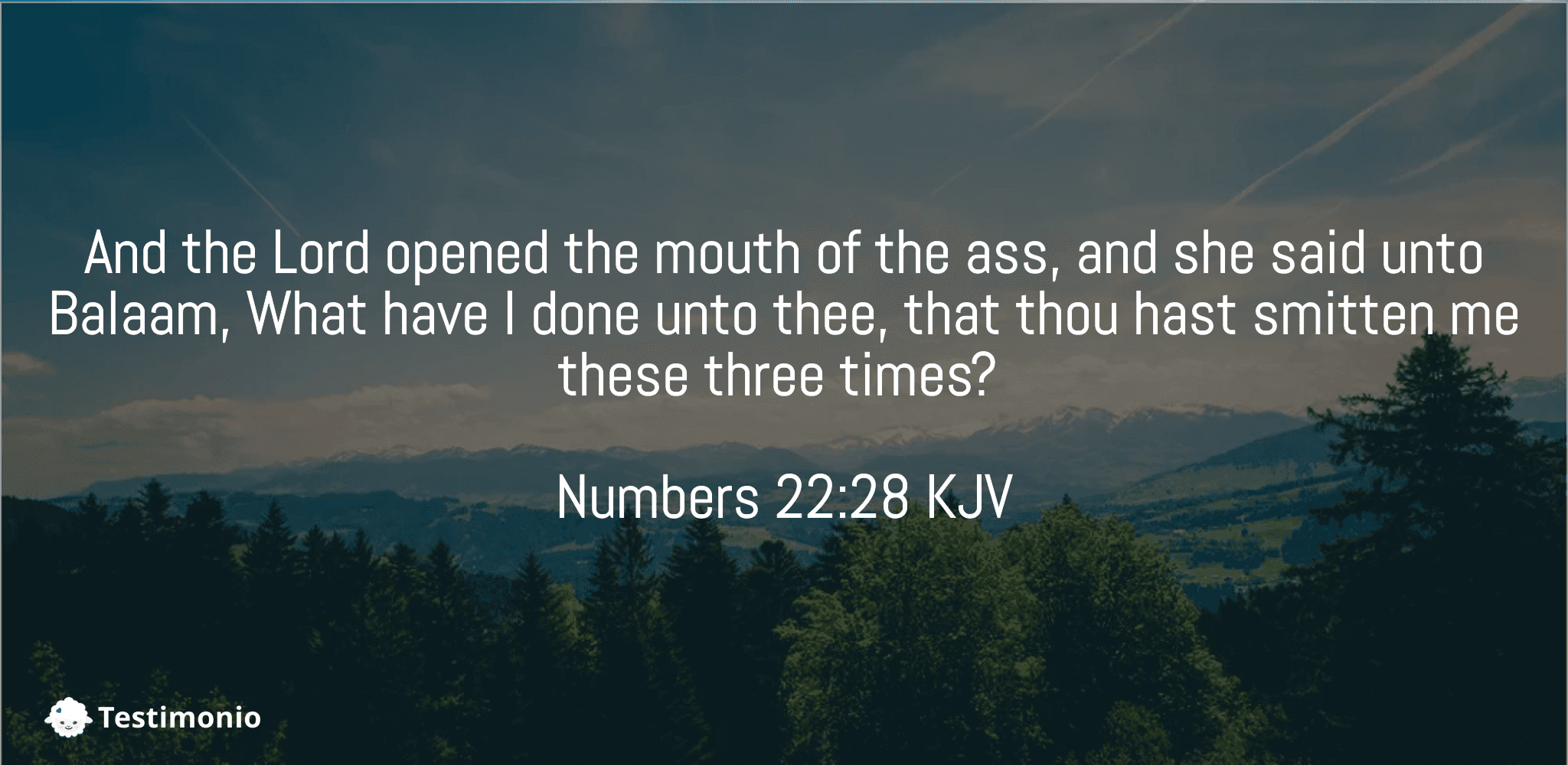 Numbers 22:28