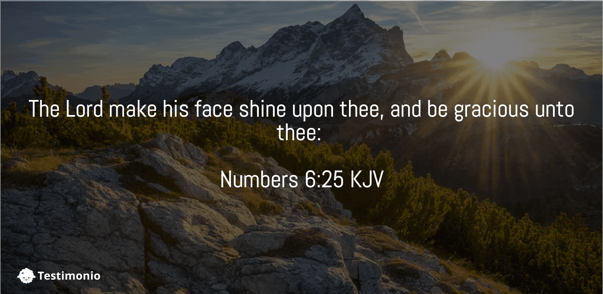 Numbers 6:25