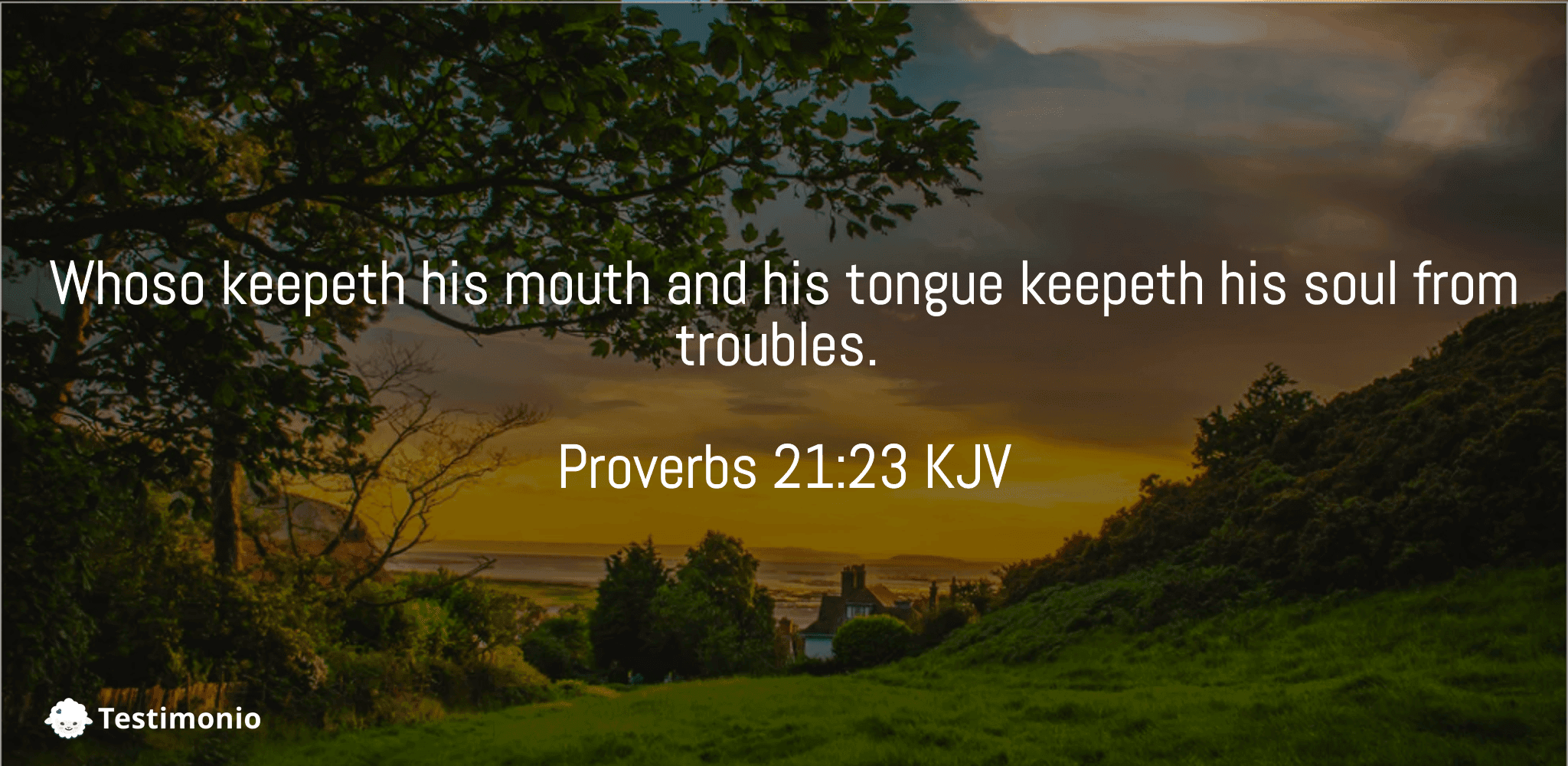 Proverbs 21:23