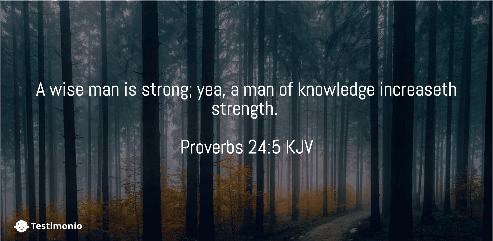 Proverbs 24:5