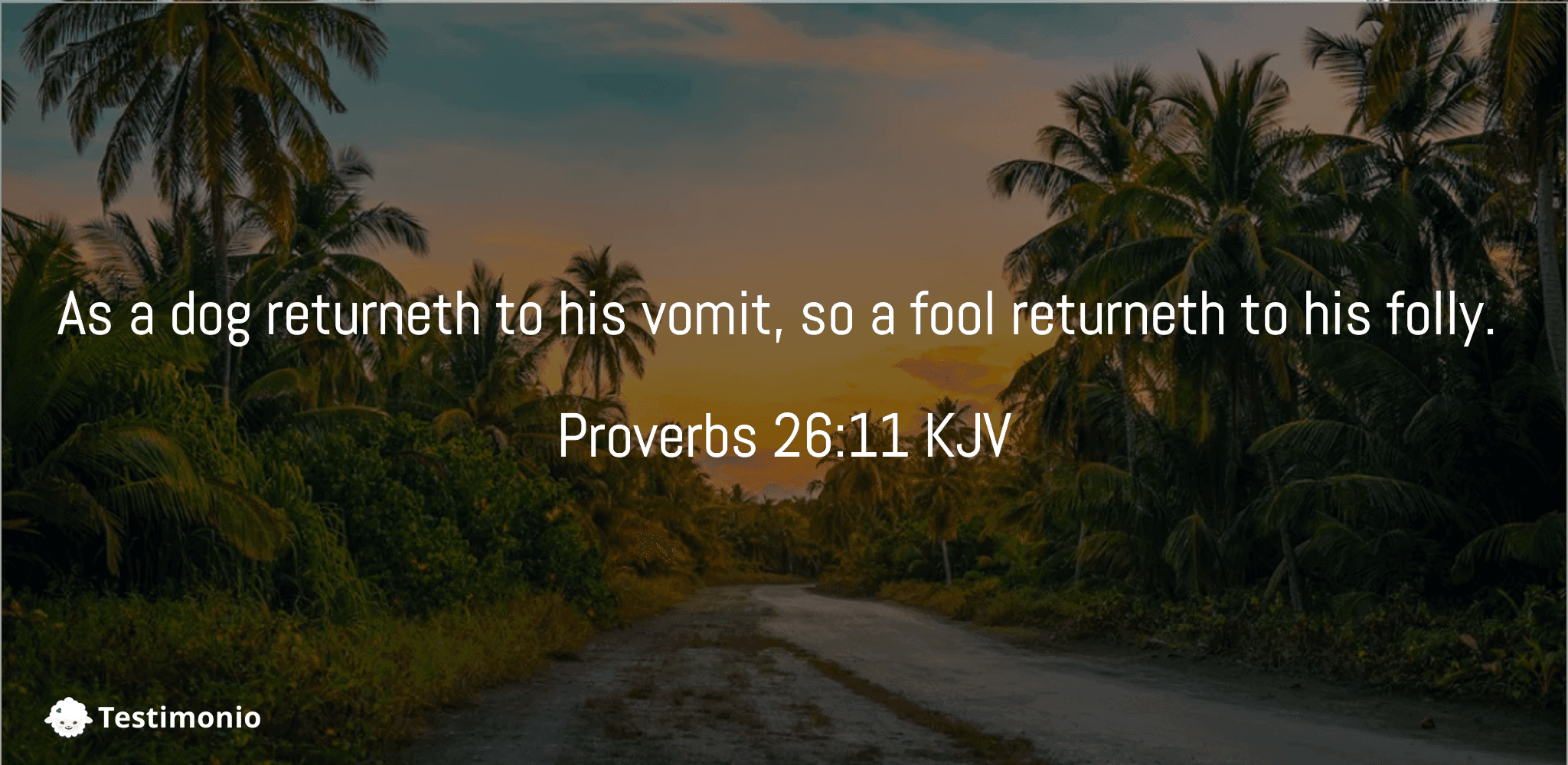 Proverbs 26:11