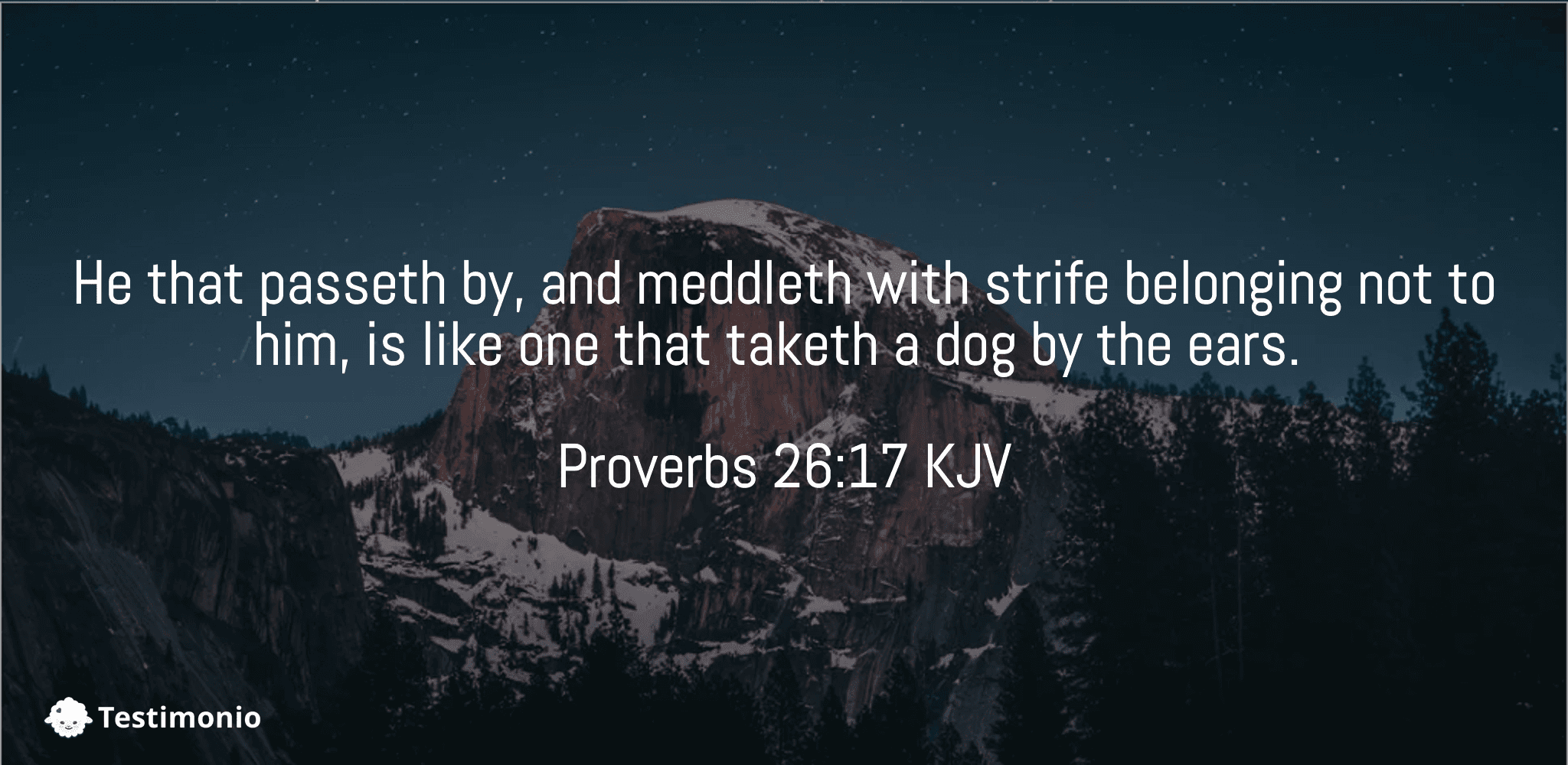 Proverbs 26:17