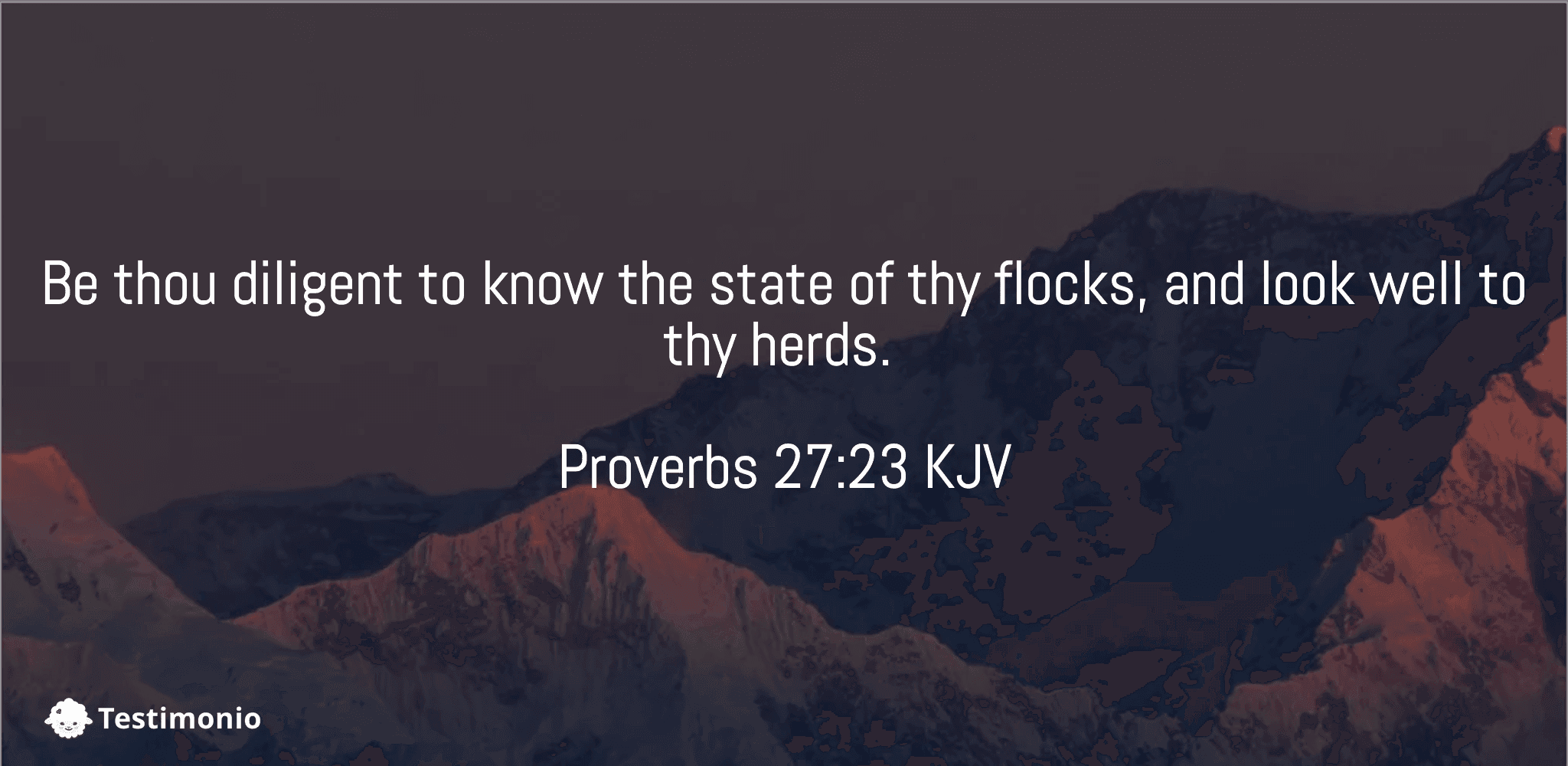 Proverbs 27:23