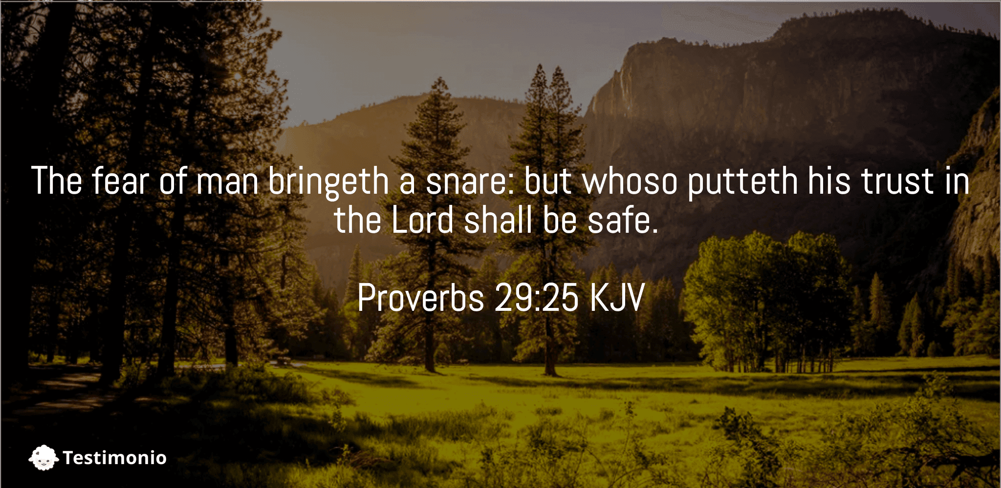 Proverbs 29:25