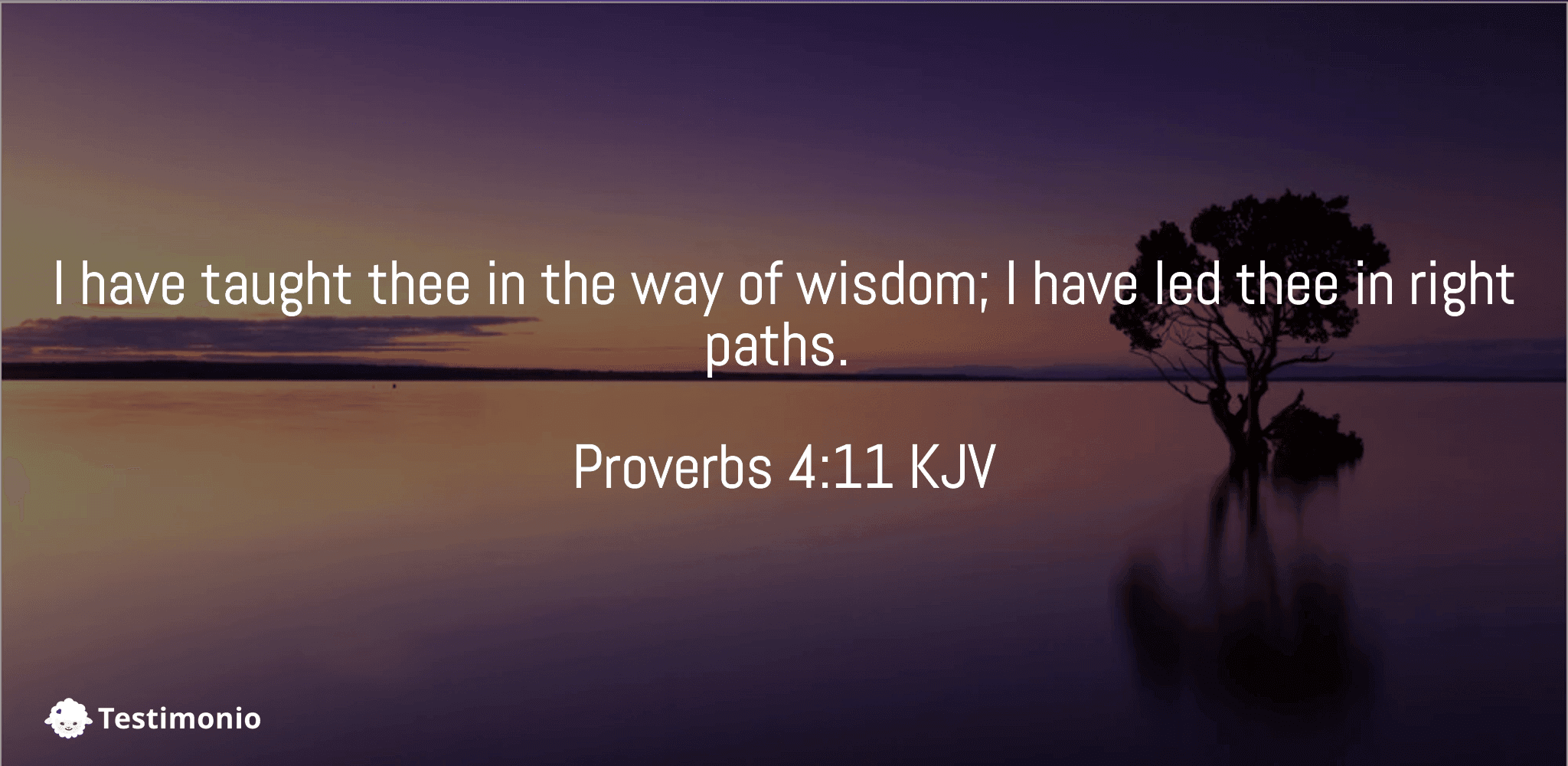 Proverbs 4:11
