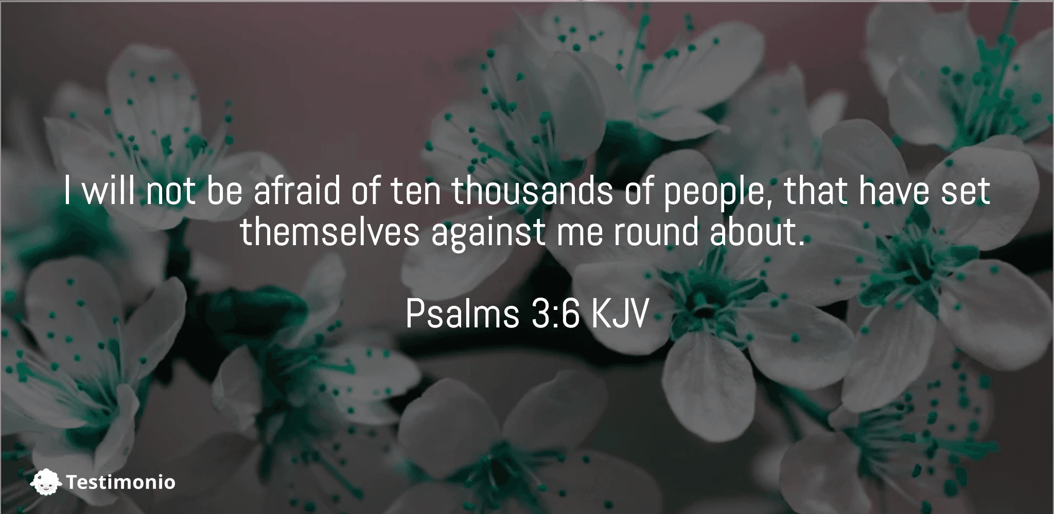 Psalms 3:6