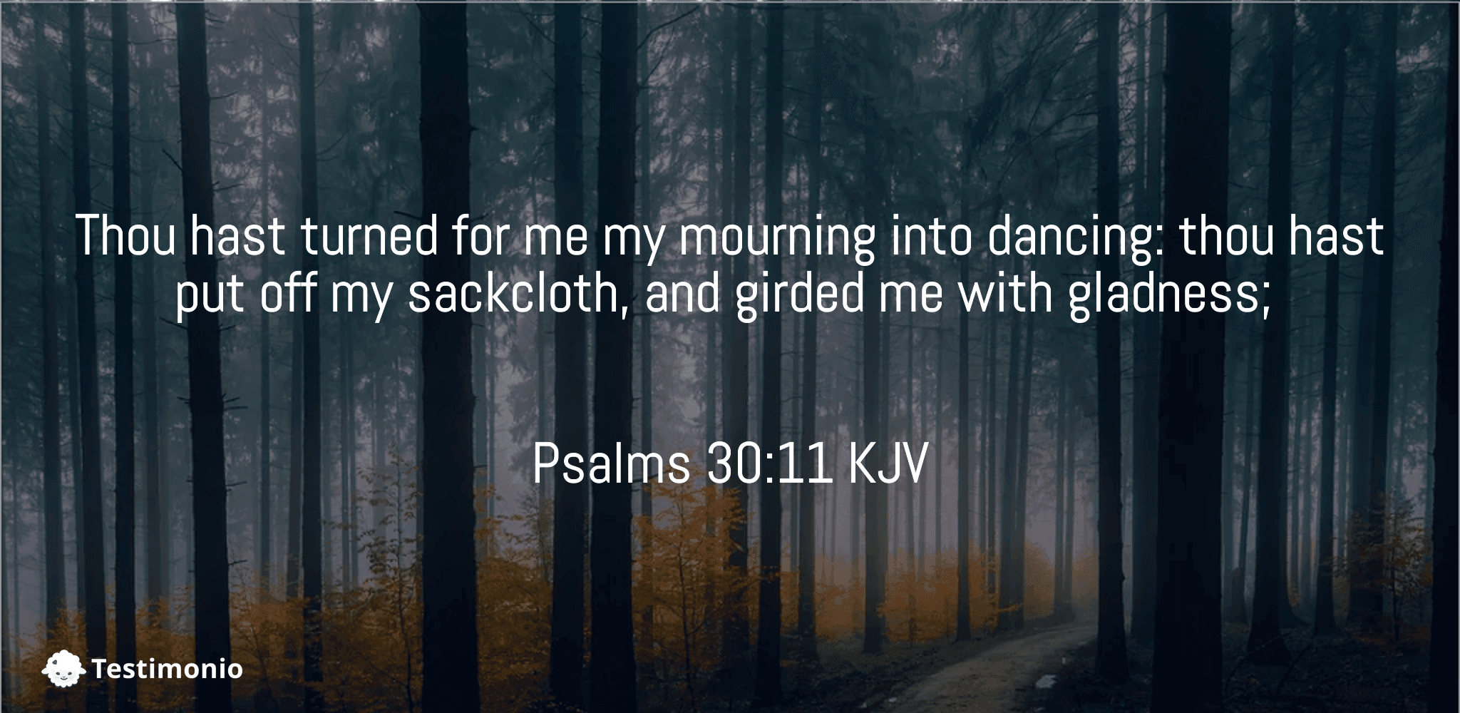 Psalms 30:11