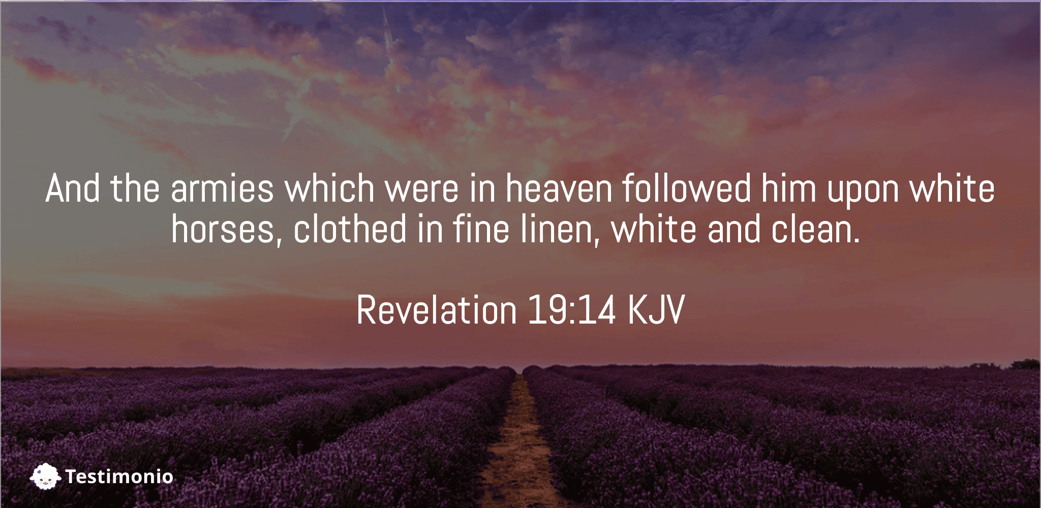 Revelation 19:14