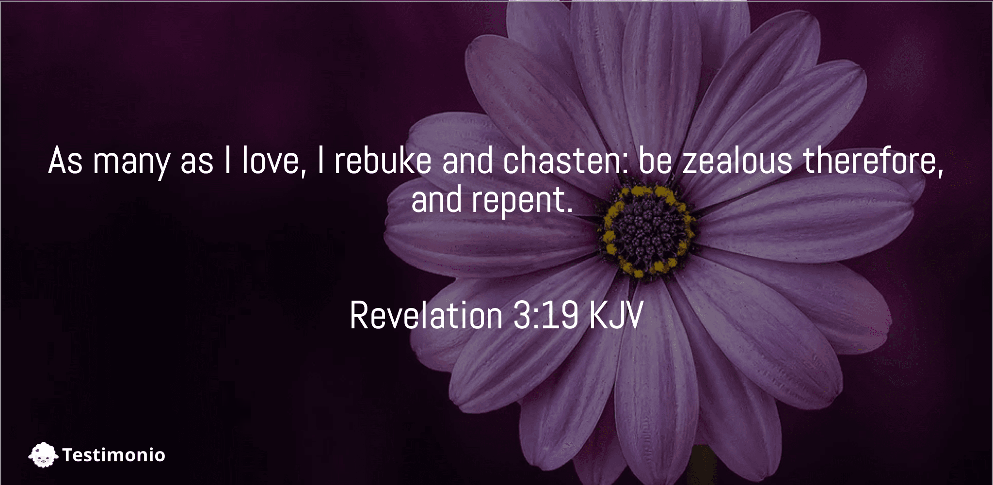 Revelation 3:19