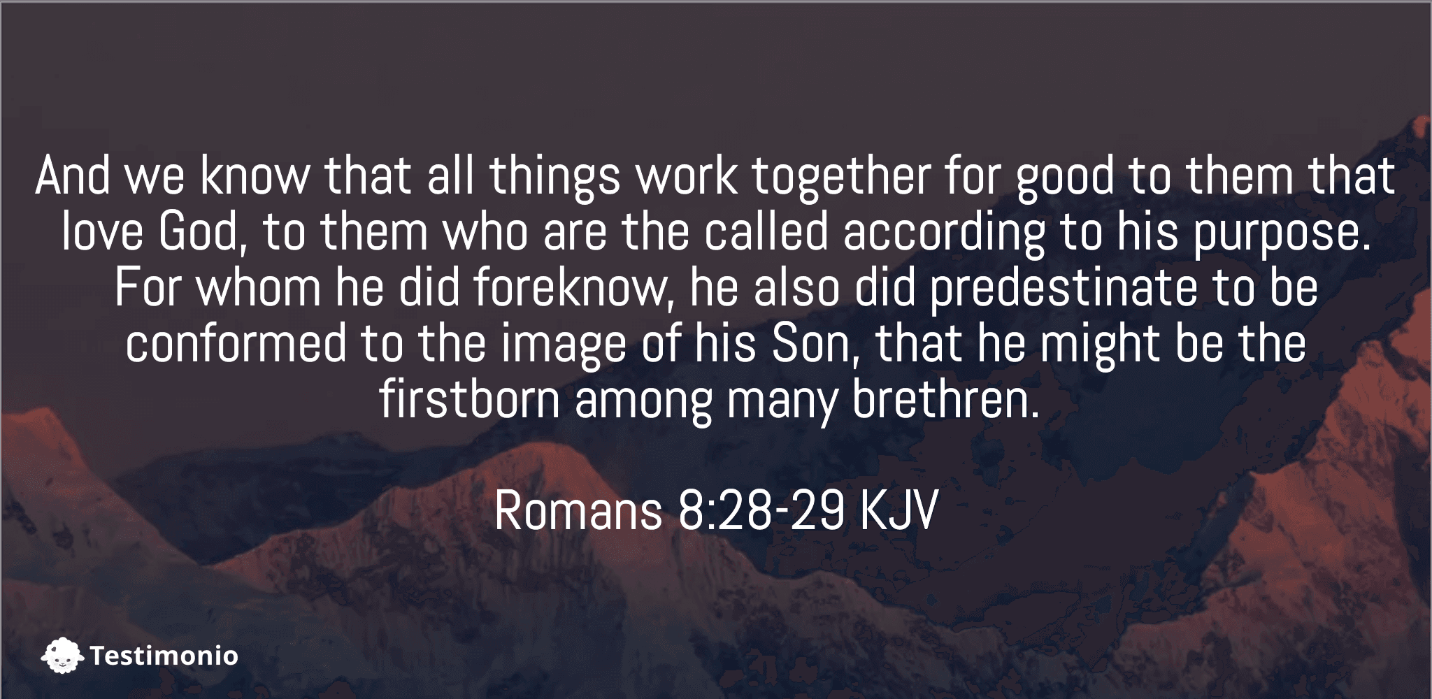 Romans 8:28-29