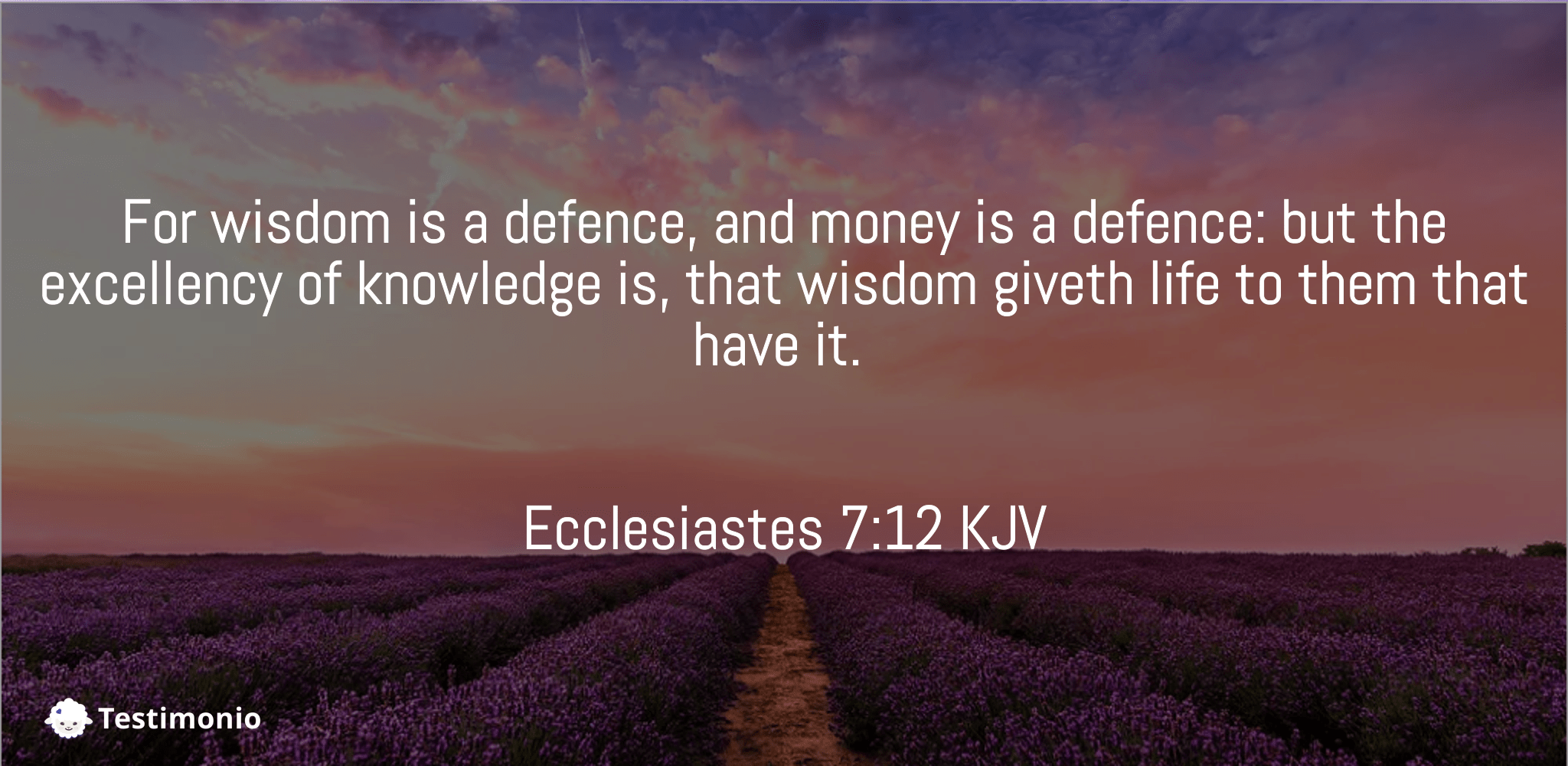 Ecclesiastes 7:12