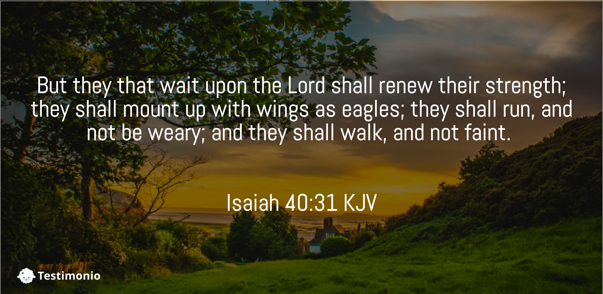 Isaiah 40:31