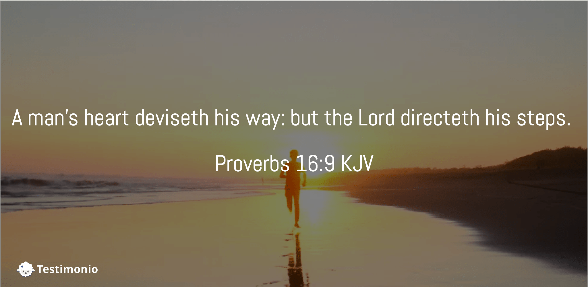 proverbs-16-9