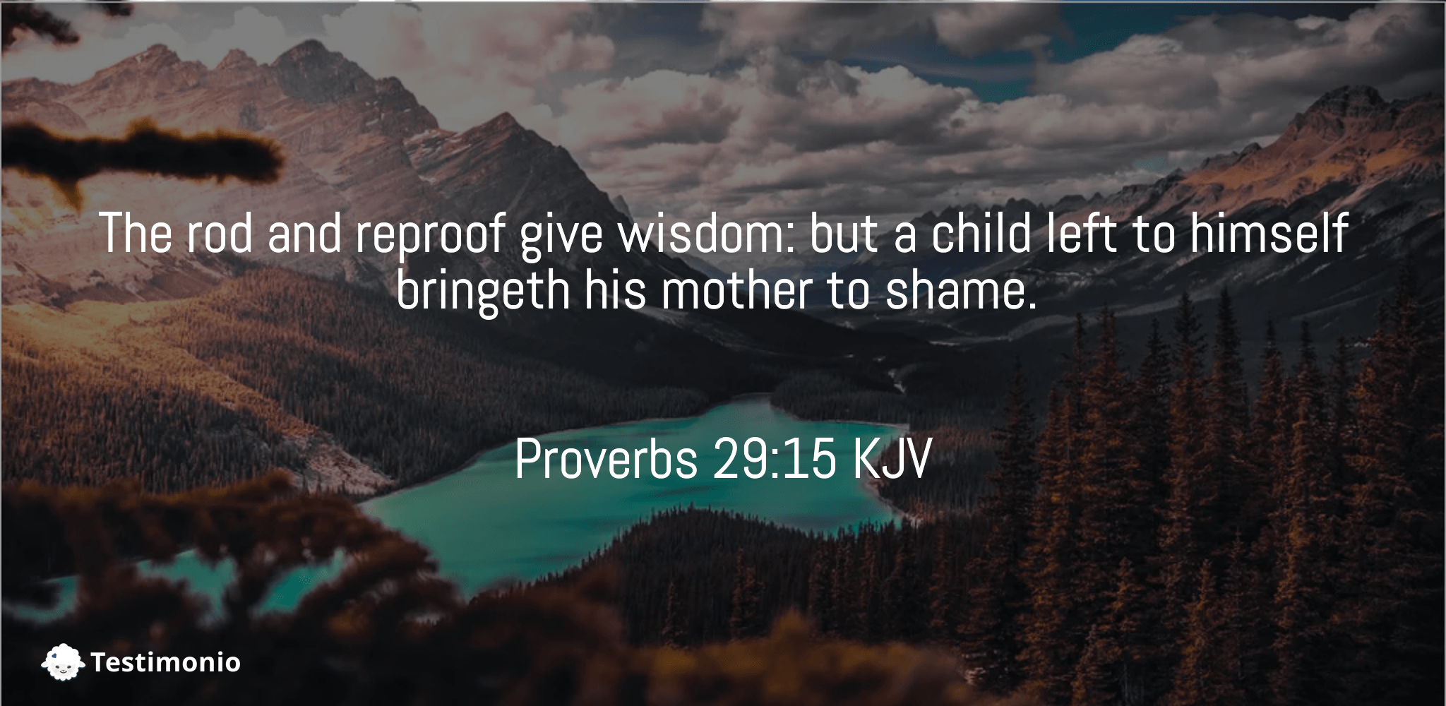 Proverbs 29:15