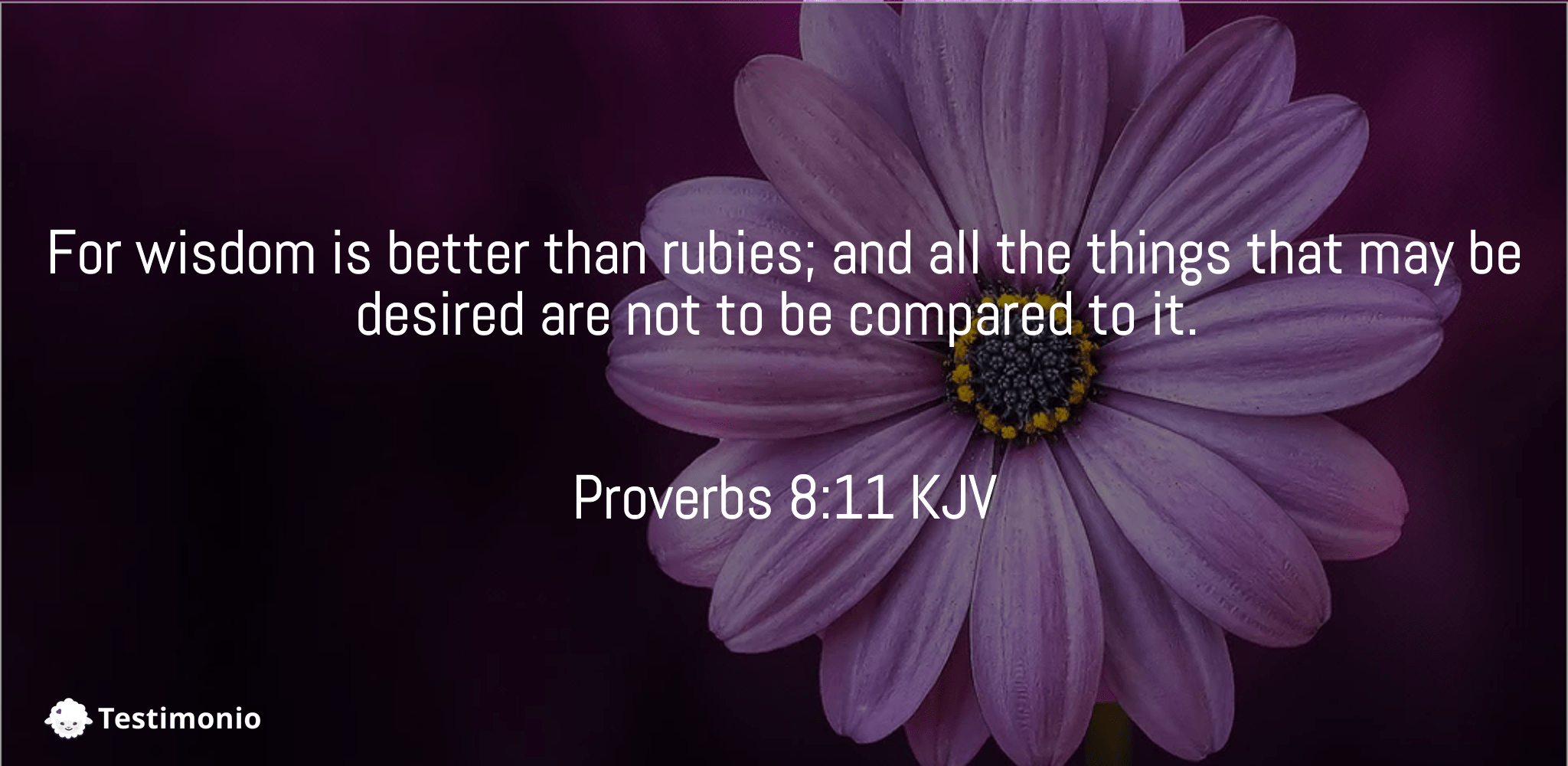 Proverbs 8:11